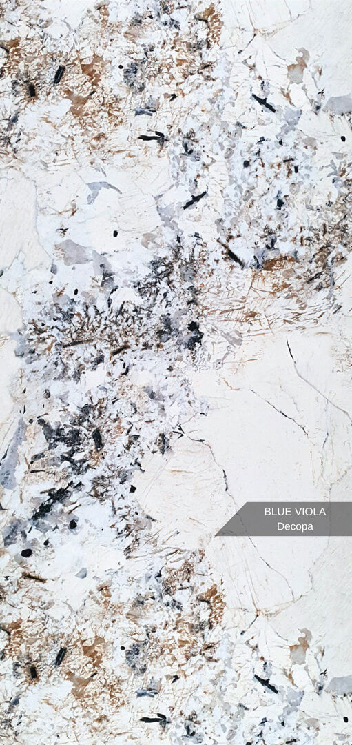 Blue Viola